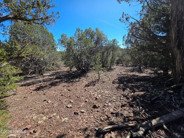 $45,000 | Parcel Parcel 205-33-005, Williams, AZ 86046