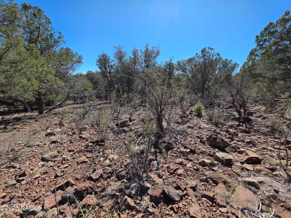 $45,000 | Parcel Parcel 205-33-005, Williams, AZ 86046