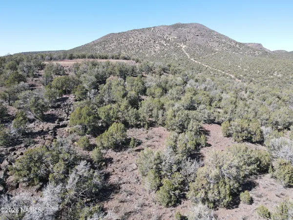 $45,000 | Parcel Parcel 205-33-005, Williams, AZ 86046