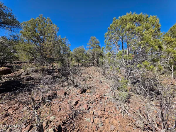 $45,000 | Parcel Parcel 205-33-005, Williams, AZ 86046