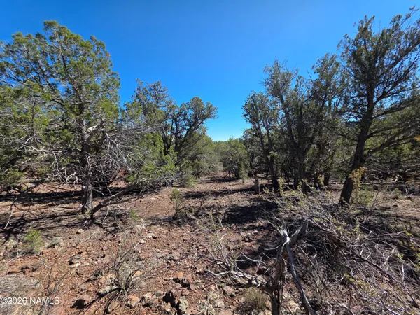 $45,000 | Parcel Parcel 205-33-005, Williams, AZ 86046