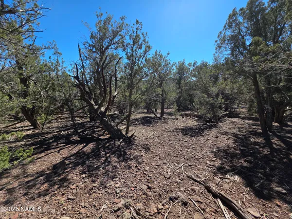 $45,000 | Parcel Parcel 205-33-005, Williams, AZ 86046