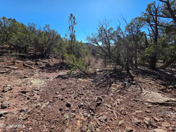 $45,000 | Parcel Parcel 205-33-005, Williams, AZ 86046