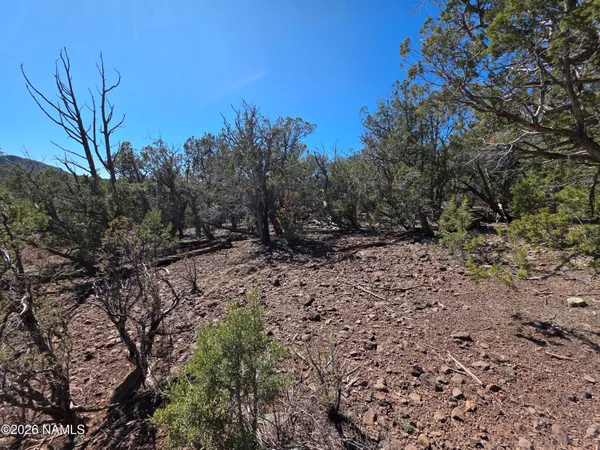 $45,000 | Parcel Parcel 205-33-005, Williams, AZ 86046