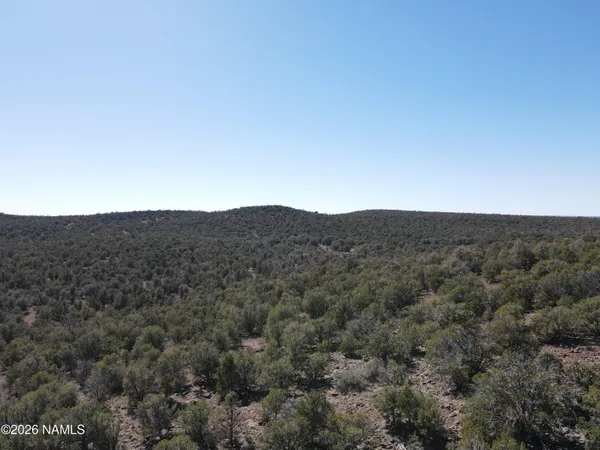 $45,000 | Parcel Parcel 205-33-005, Williams, AZ 86046