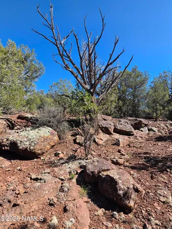 $45,000 | Parcel Parcel 205-33-005, Williams, AZ 86046