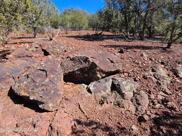 $45,000 | Parcel Parcel 205-33-005, Williams, AZ 86046