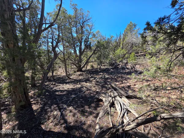 $45,000 | Parcel Parcel 205-33-005, Williams, AZ 86046