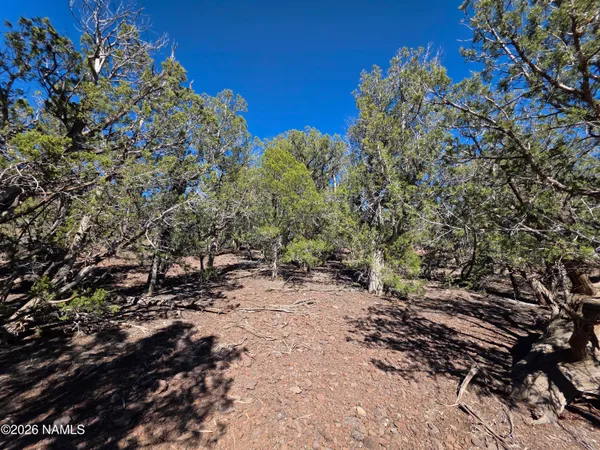 $45,000 | Parcel Parcel 205-33-005, Williams, AZ 86046