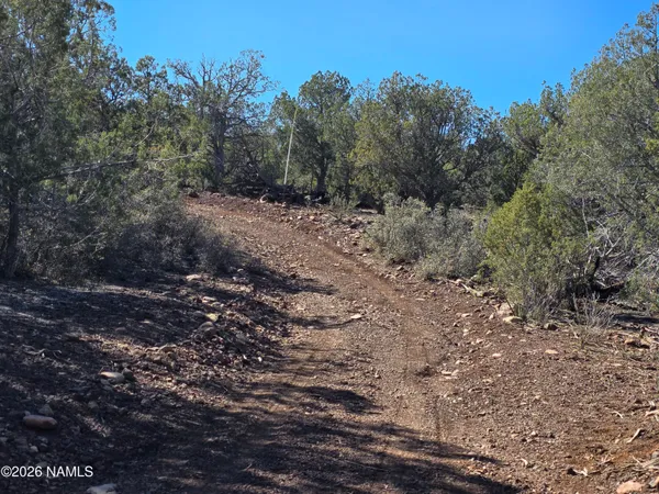 $45,000 | Parcel Parcel 205-33-005, Williams, AZ 86046