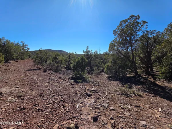 $45,000 | Parcel Parcel 205-33-005, Williams, AZ 86046