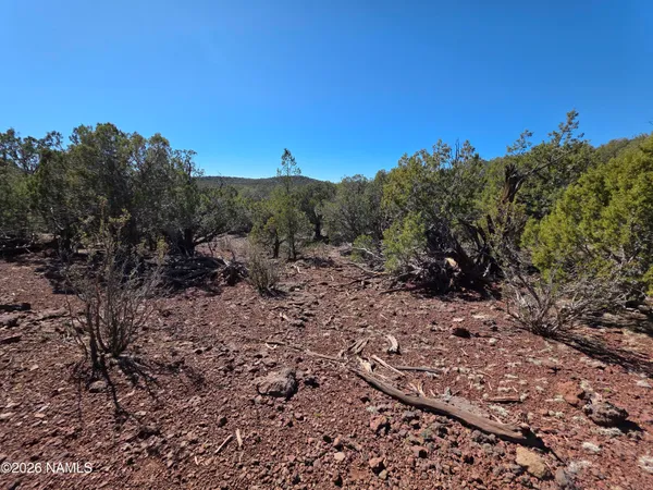 $45,000 | Parcel Parcel 205-33-005, Williams, AZ 86046