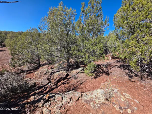 $45,000 | Parcel Parcel 205-33-005, Williams, AZ 86046