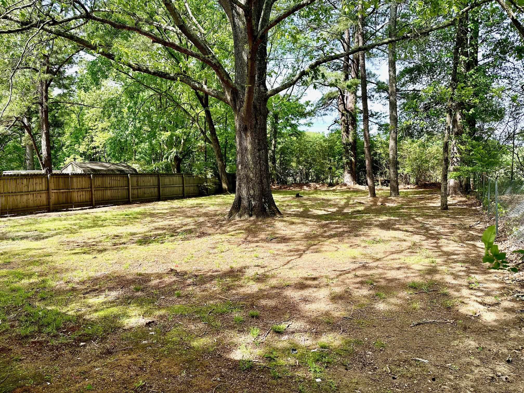 317 Sycamore Road Collierville, TN 38017 - Photo 16 of 16 Gallery Image 16
