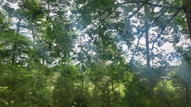 $285,000 | 47 Blue Berry Drive, Crossville, TN 38572