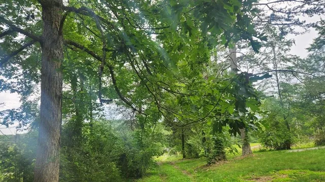 $285,000 | 47 Blue Berry Drive, Crossville, TN 38572