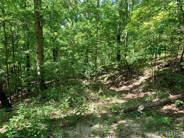 $70,000 | Lot 1 Dogwood Acres, Imperial, MO 63052