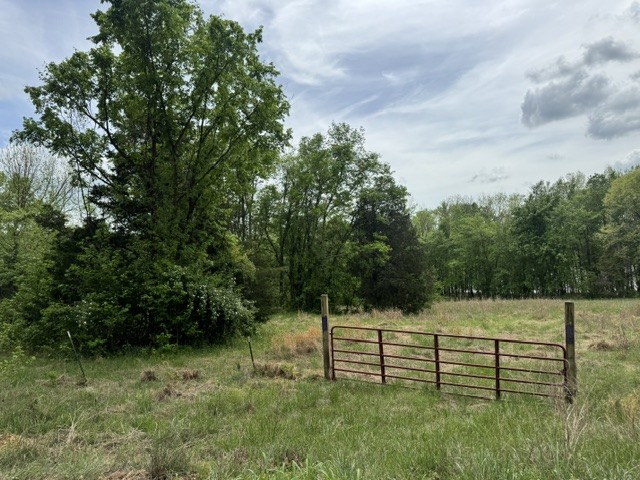 637 Hargis Road Bumpus Mills, TN 37028 - Photo 11 of 17
