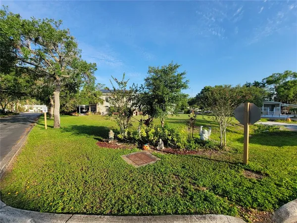 a view of a park with large trees