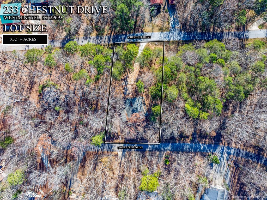 233 Chestnut Drive Westminster, SC 29693 - Photo 34 of 45