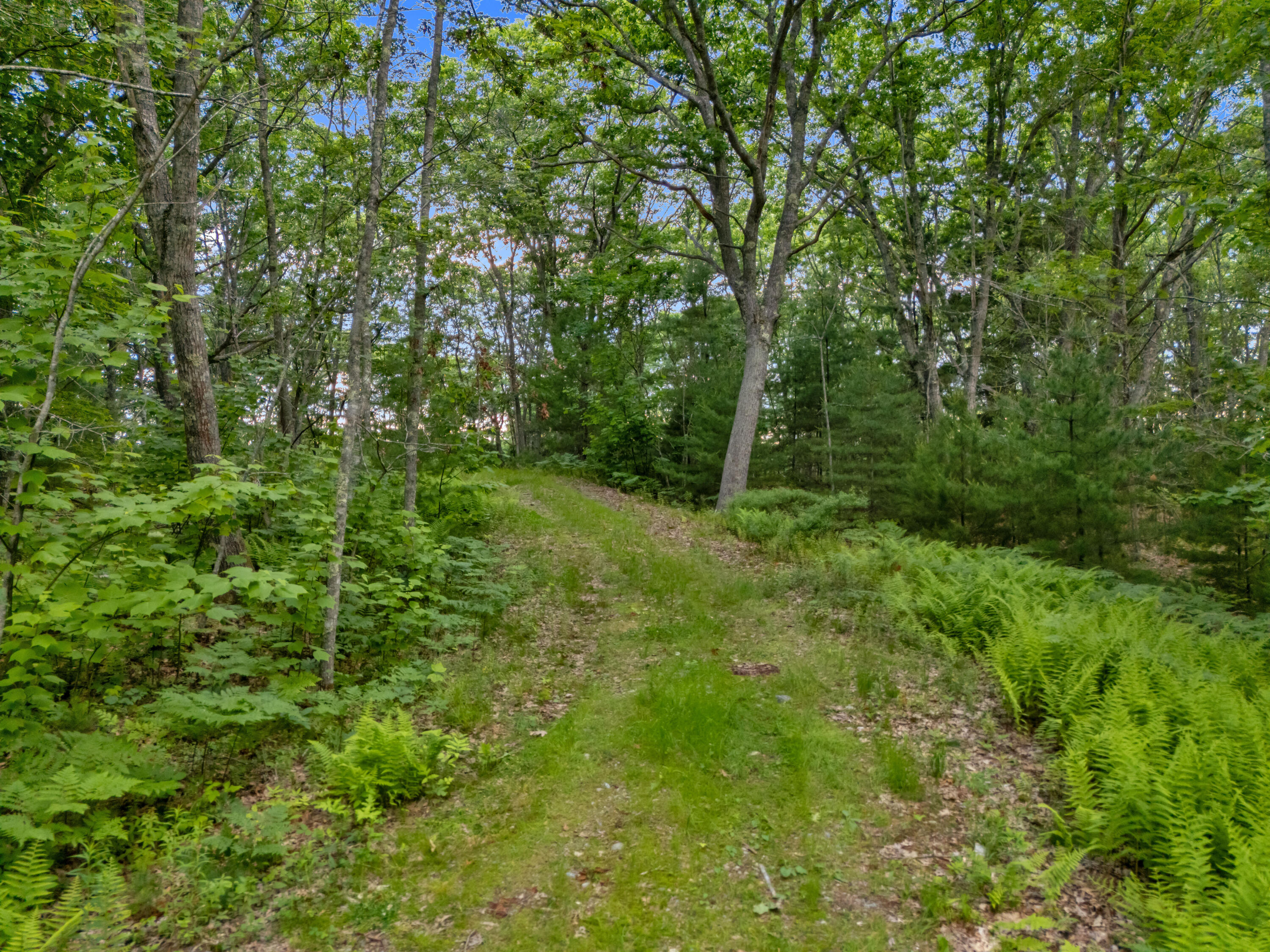 Lot 16 Captain John Parker Road Phippsburg, ME 04562 - Photo 29 of 29 DJI_20260619182435_0427_D