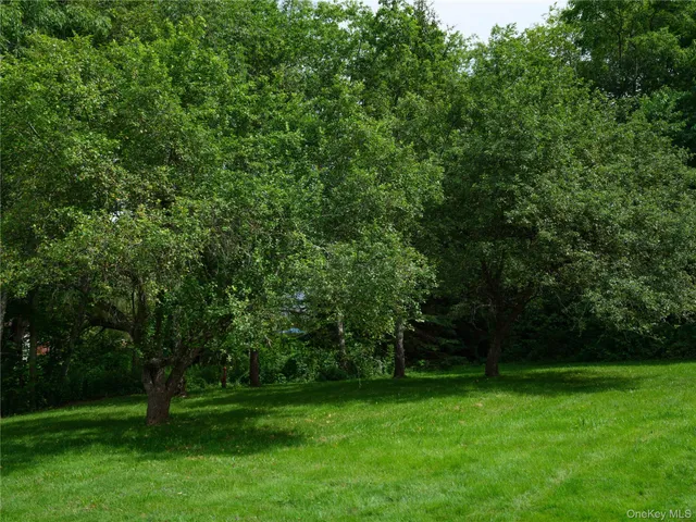 a view of a grassy field with trees