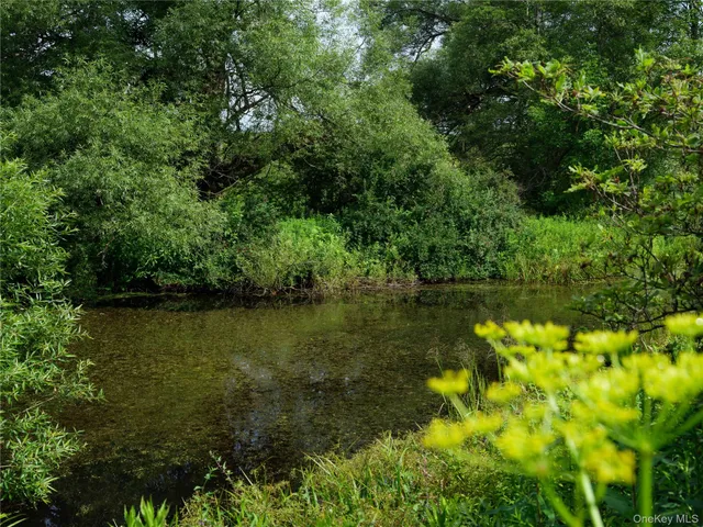a view of lake with green space