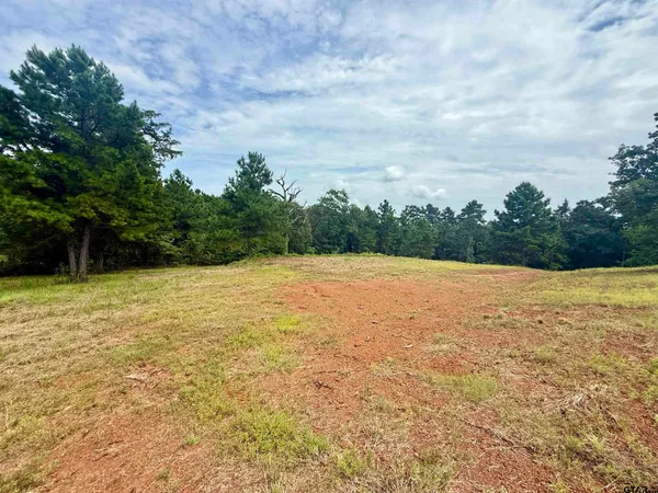 a view of a garden and basketball court