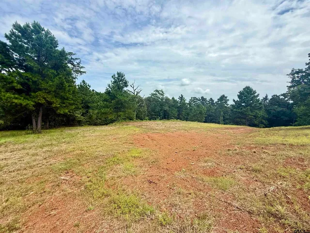 a view of a garden and basketball court