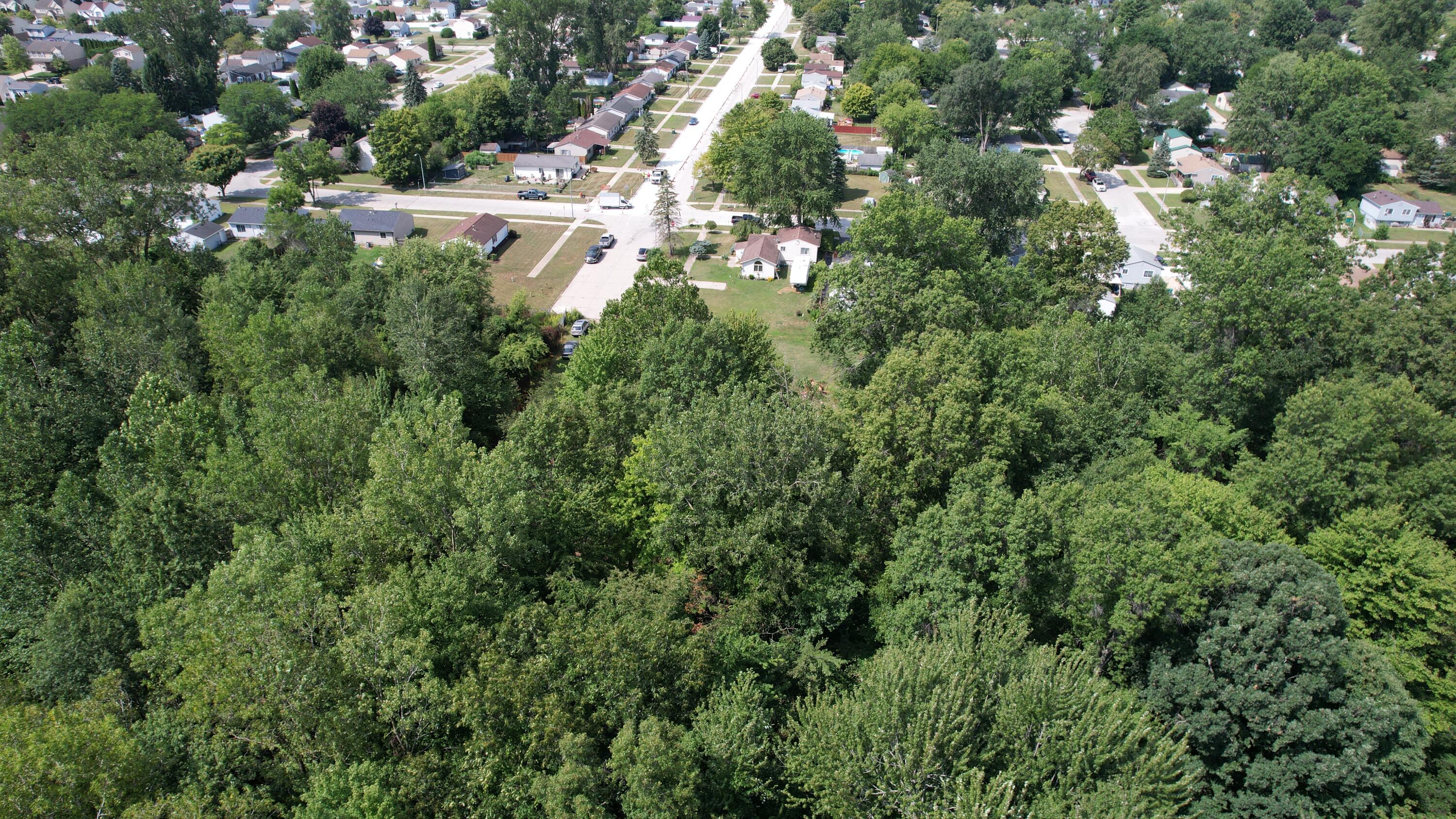 Inkster Road Romulus, MI 48174 - Photo 4 of 6 dji_fly_20260820_120904_742_178725154309
