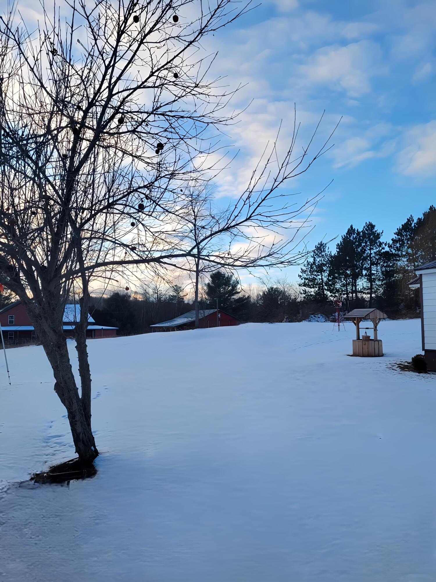1208 West Millbrook Road Blanchard, MI 49310 - Photo 3 of 12 1000075647