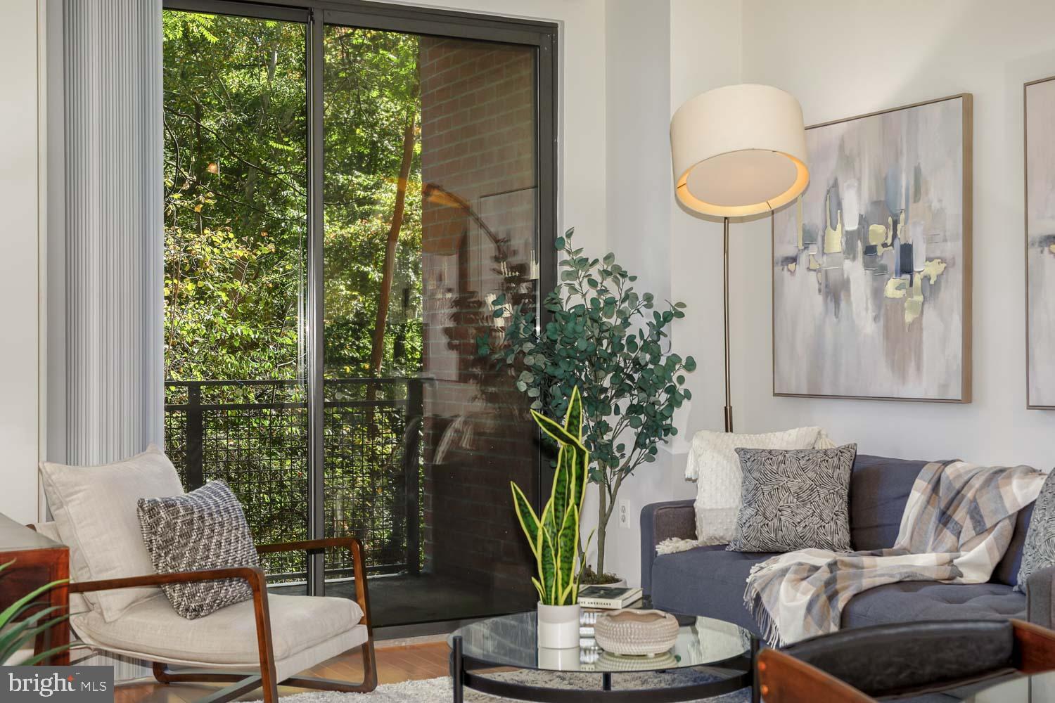 3883 Connecticut Avenue Northwest, Unit T3 Washington, DC 20008 - Photo 6 of 25 a living room with furniture and a potted plant