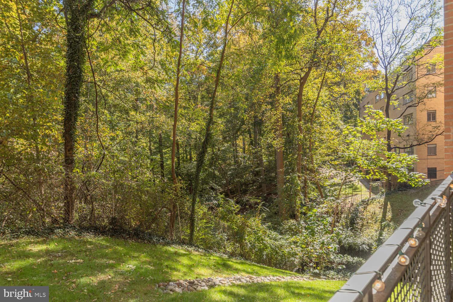3883 Connecticut Avenue Northwest, Unit T3 Washington, DC 20008 - Photo 8 of 25 a view of a yard with plants and large trees
