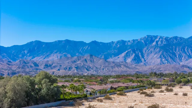 a view of a backyard with wooden fence