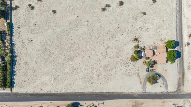 a white wall with a potted plant