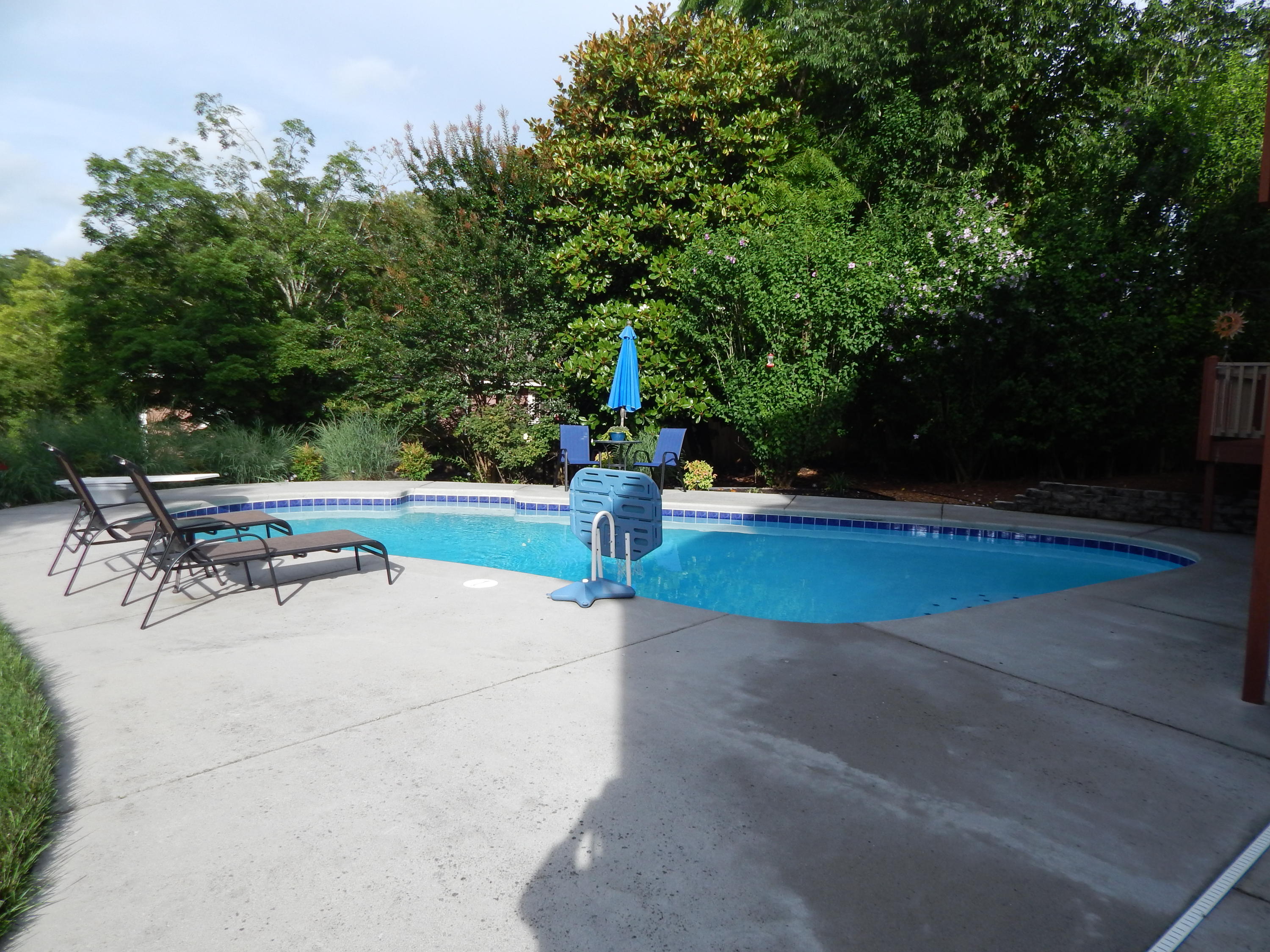 1316 Candlewick Road Knoxville, TN 37932 - Photo 31 of 39 DSCN5563