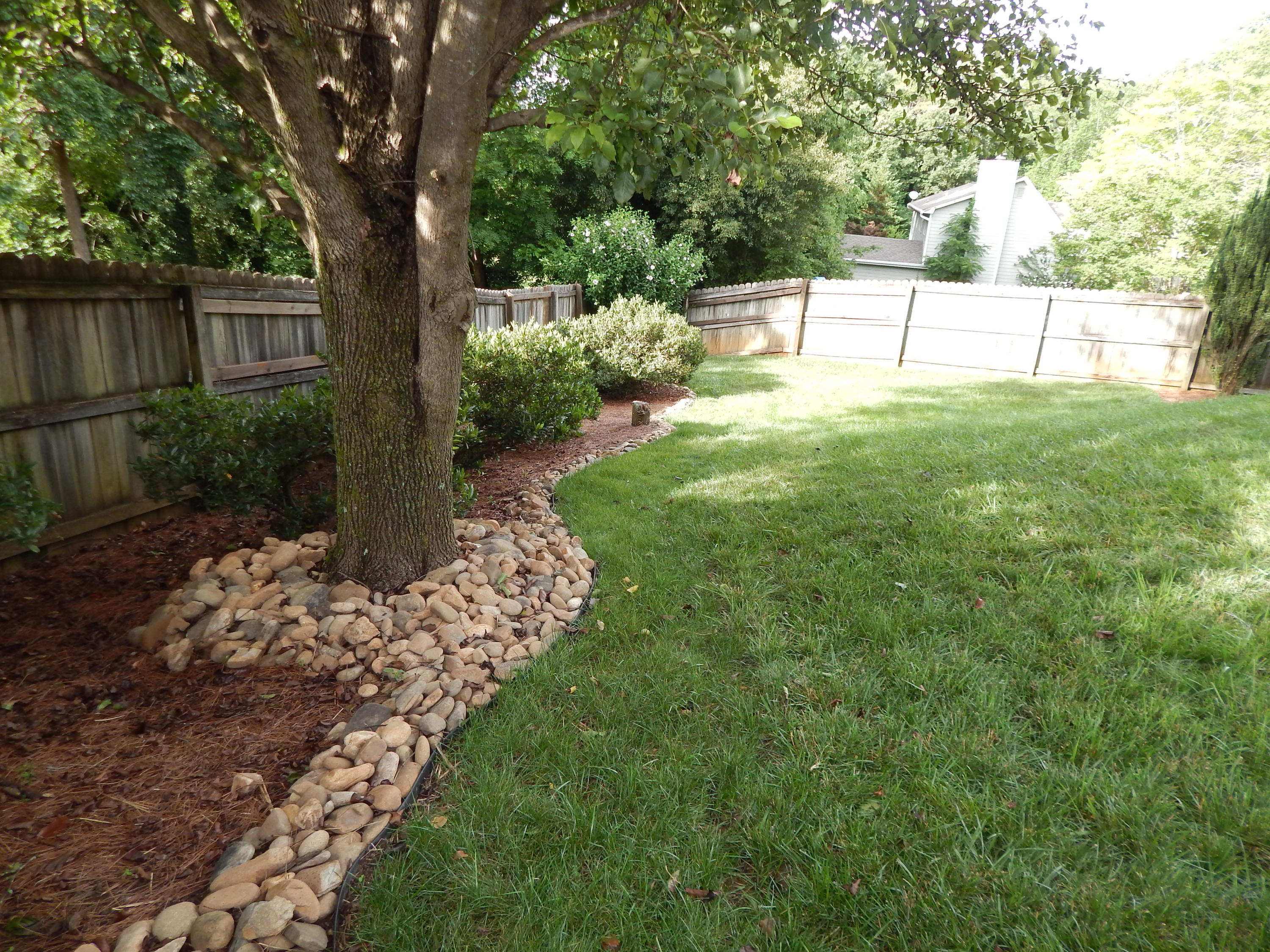 1316 Candlewick Road Knoxville, TN 37932 - Photo 35 of 39 DSCN5571