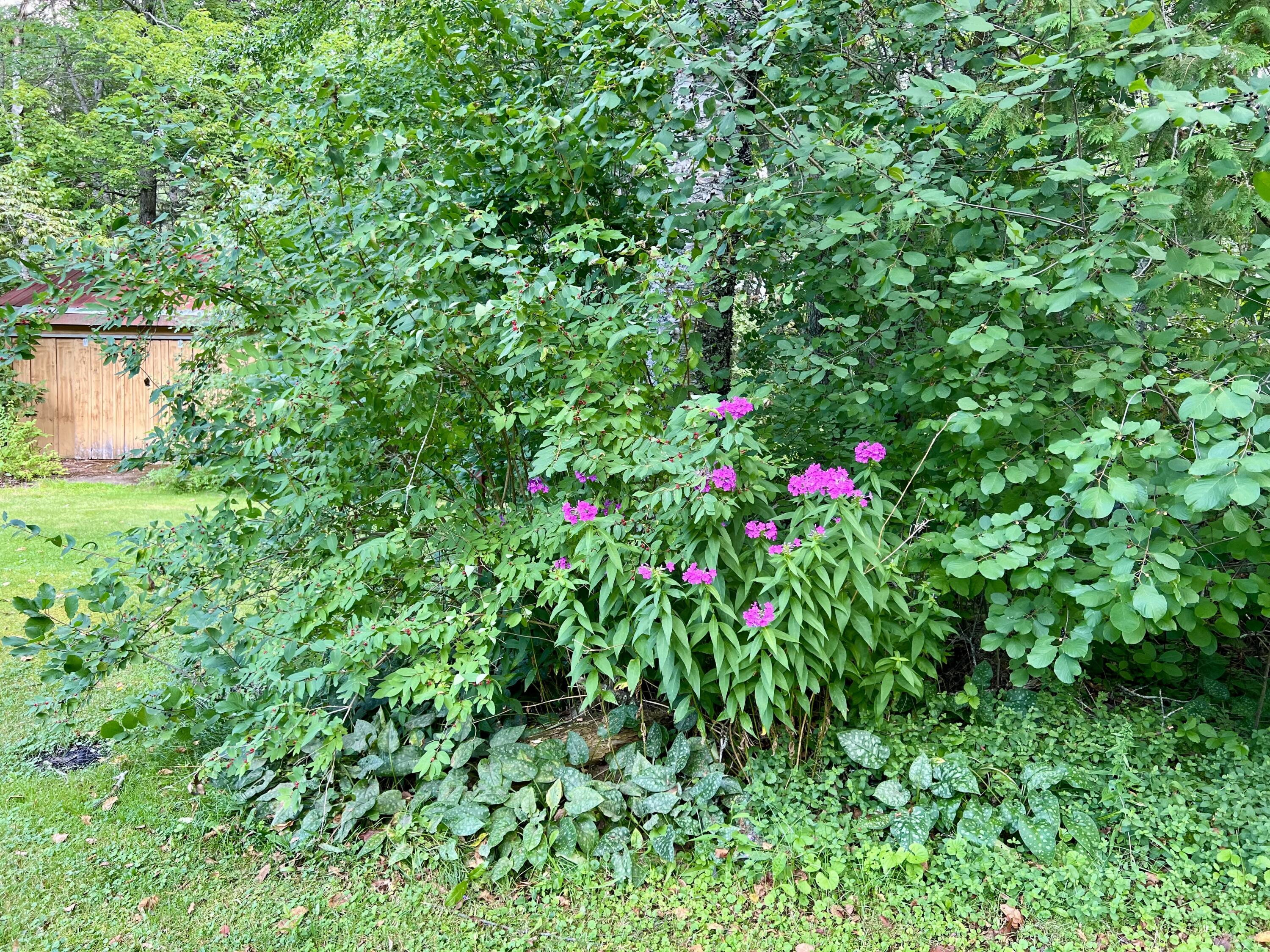 111 Back Searsport Road Searsport, ME 04974 - Photo 19 of 21 IMG_0435