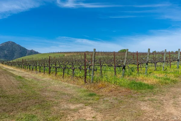 $6,950,000 | 14495 Old River Road, Hopland, CA 95449