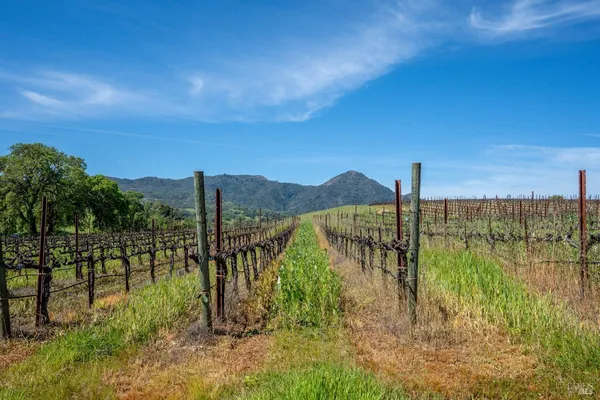 $6,950,000 | 14495 Old River Road, Hopland, CA 95449