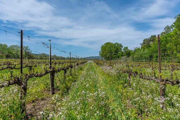 $6,950,000 | 14495 Old River Road, Hopland, CA 95449