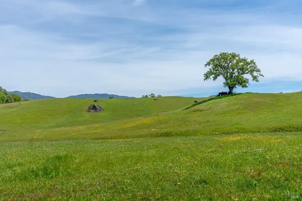 $6,950,000 | 14495 Old River Road, Hopland, CA 95449