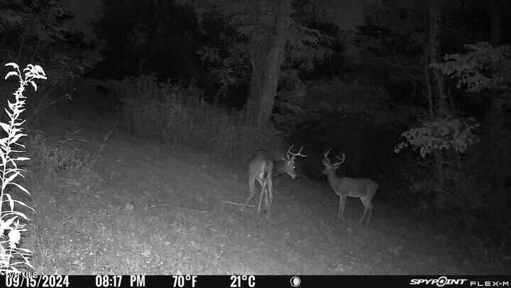 2335 Wattenbarger Gap Road Greeneville, TN 37745 - Photo 101 of 103 Bucks