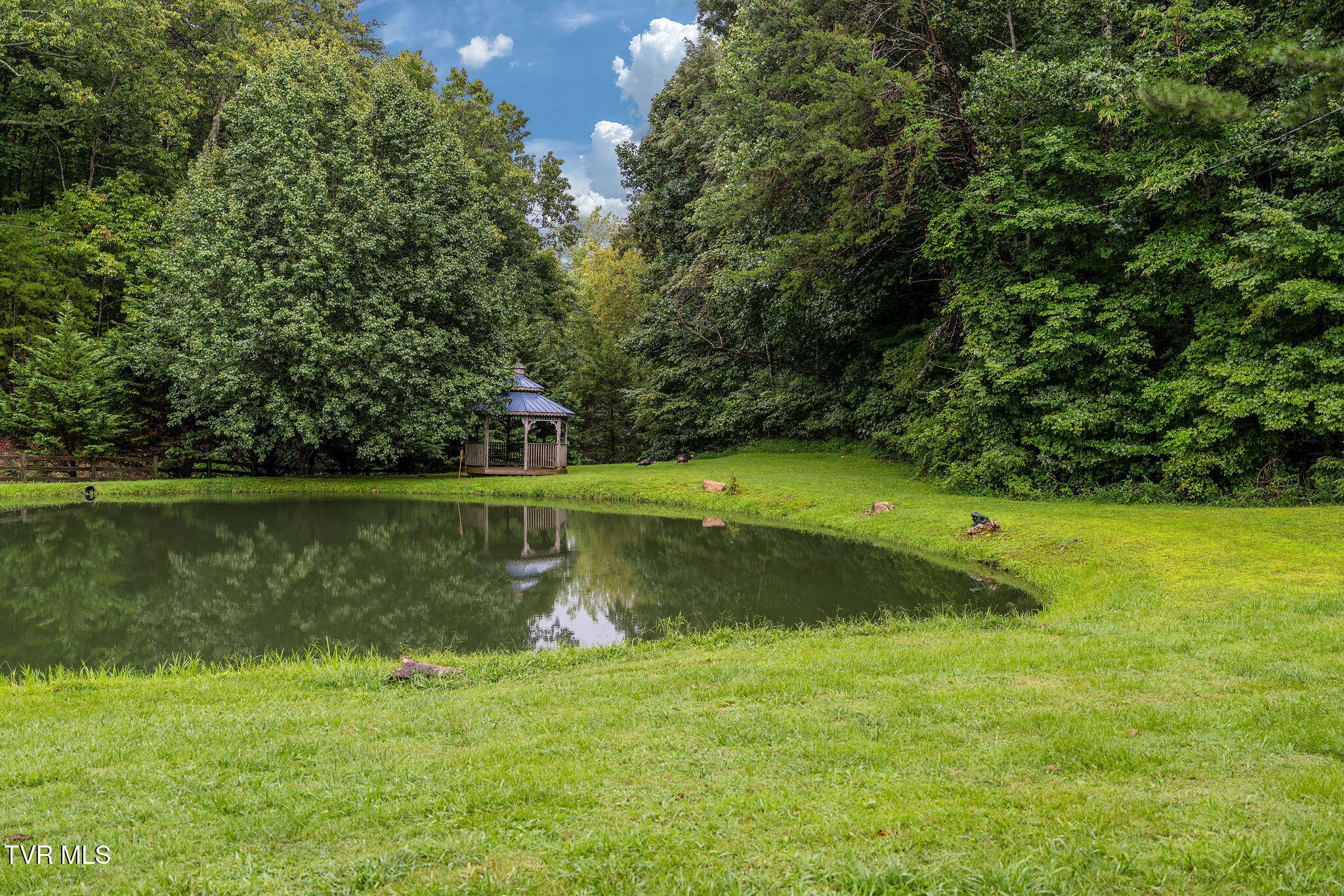 2335 Wattenbarger Gap Road Greeneville, TN 37745 - Photo 18 of 103 DSC07983