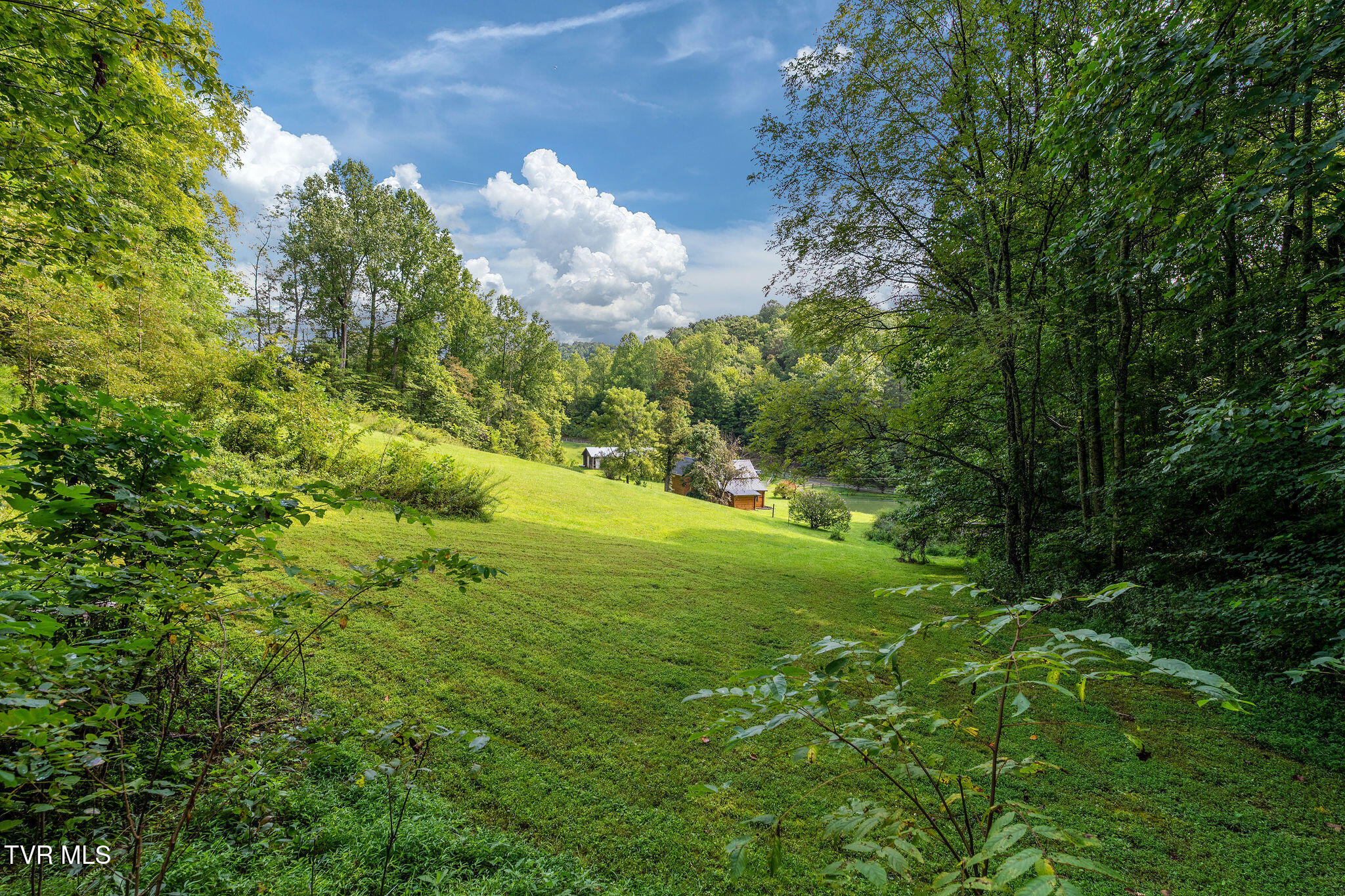 2335 Wattenbarger Gap Road Greeneville, TN 37745 - Photo 25 of 103 DSC07960