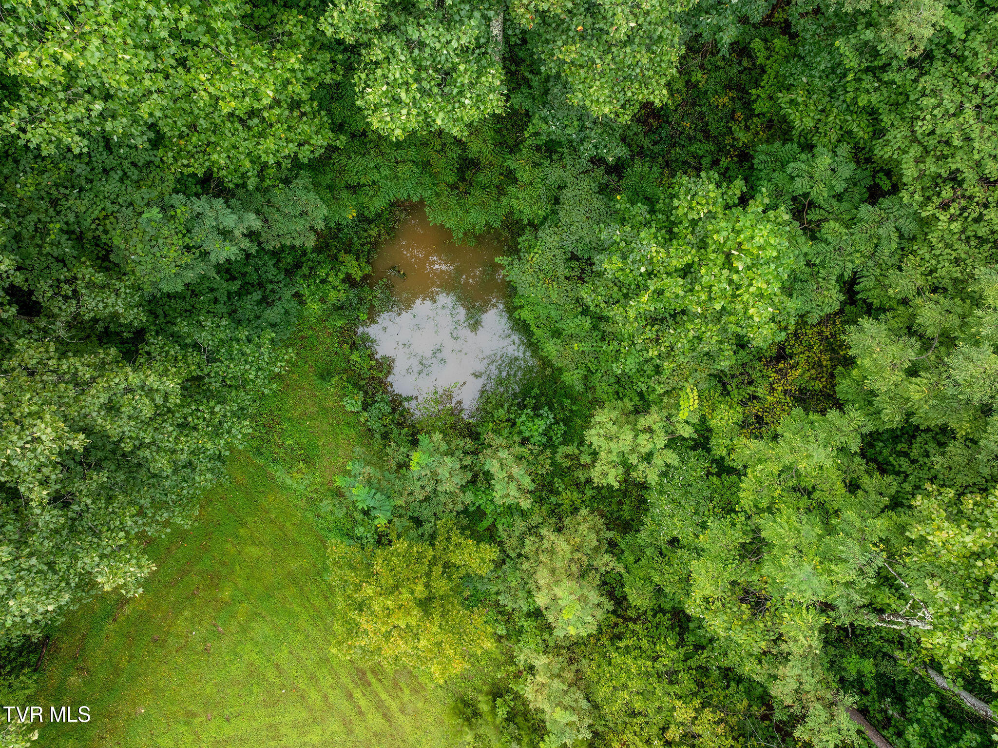 2335 Wattenbarger Gap Road Greeneville, TN 37745 - Photo 28 of 103 DJI_0862