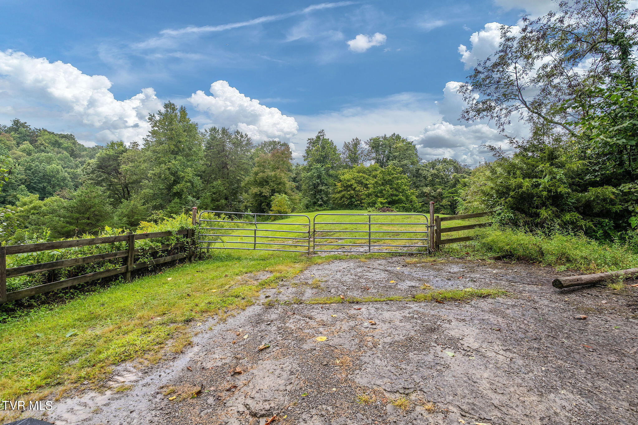 2335 Wattenbarger Gap Road Greeneville, TN 37745 - Photo 74 of 103 DSC07992