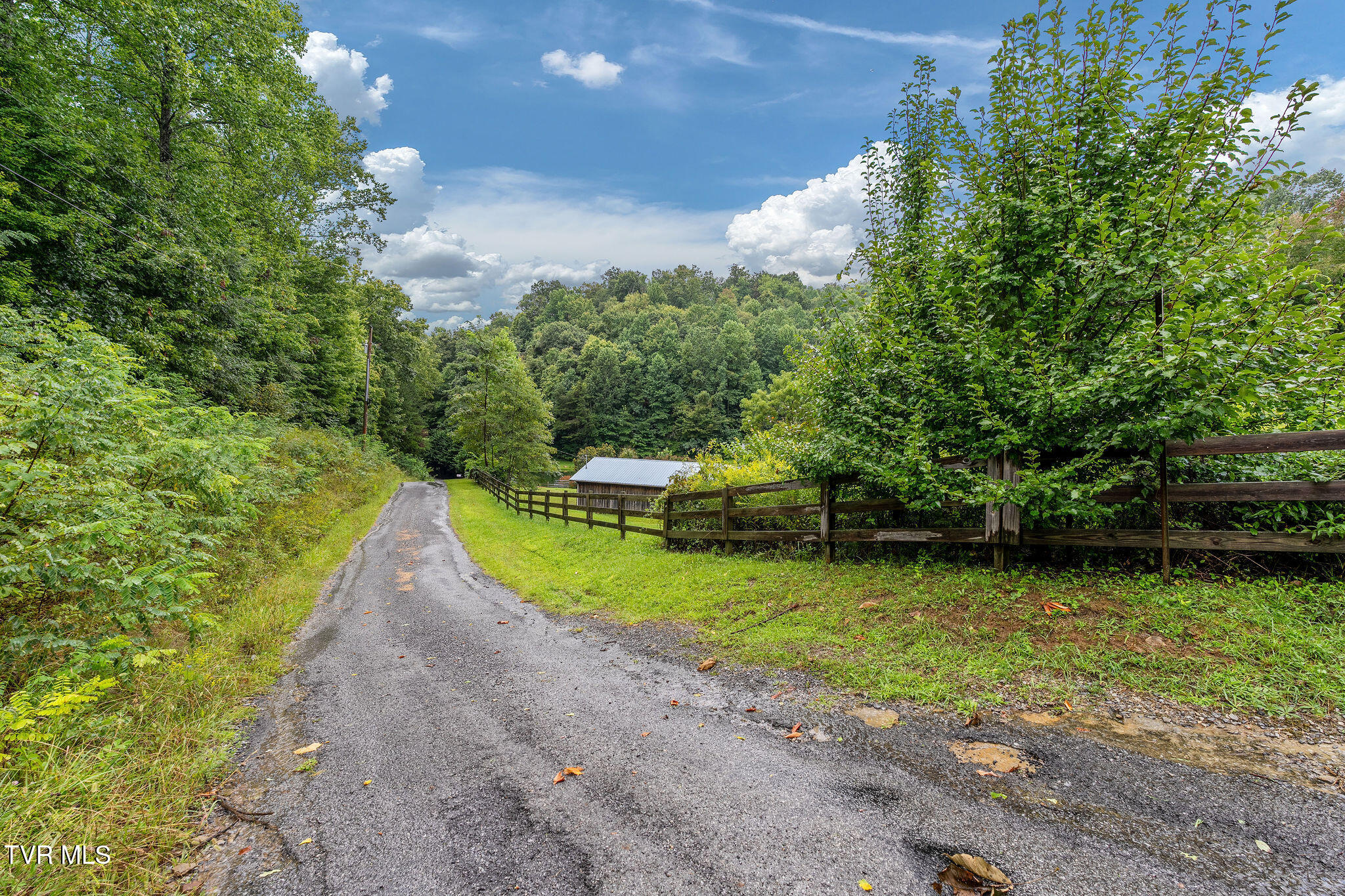 2335 Wattenbarger Gap Road Greeneville, TN 37745 - Photo 75 of 103 DSC07993