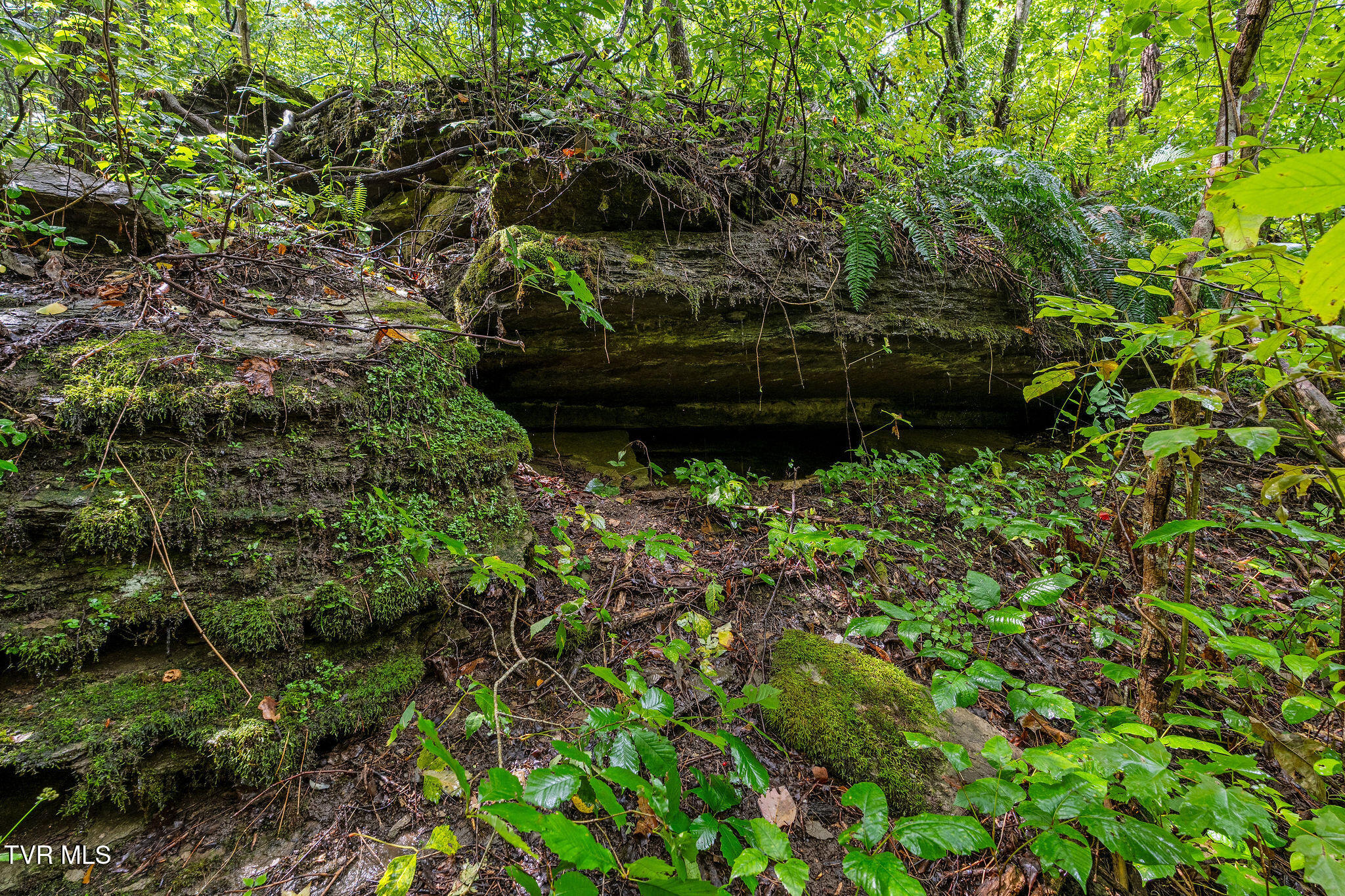 2335 Wattenbarger Gap Road Greeneville, TN 37745 - Photo 78 of 103 DSC08002