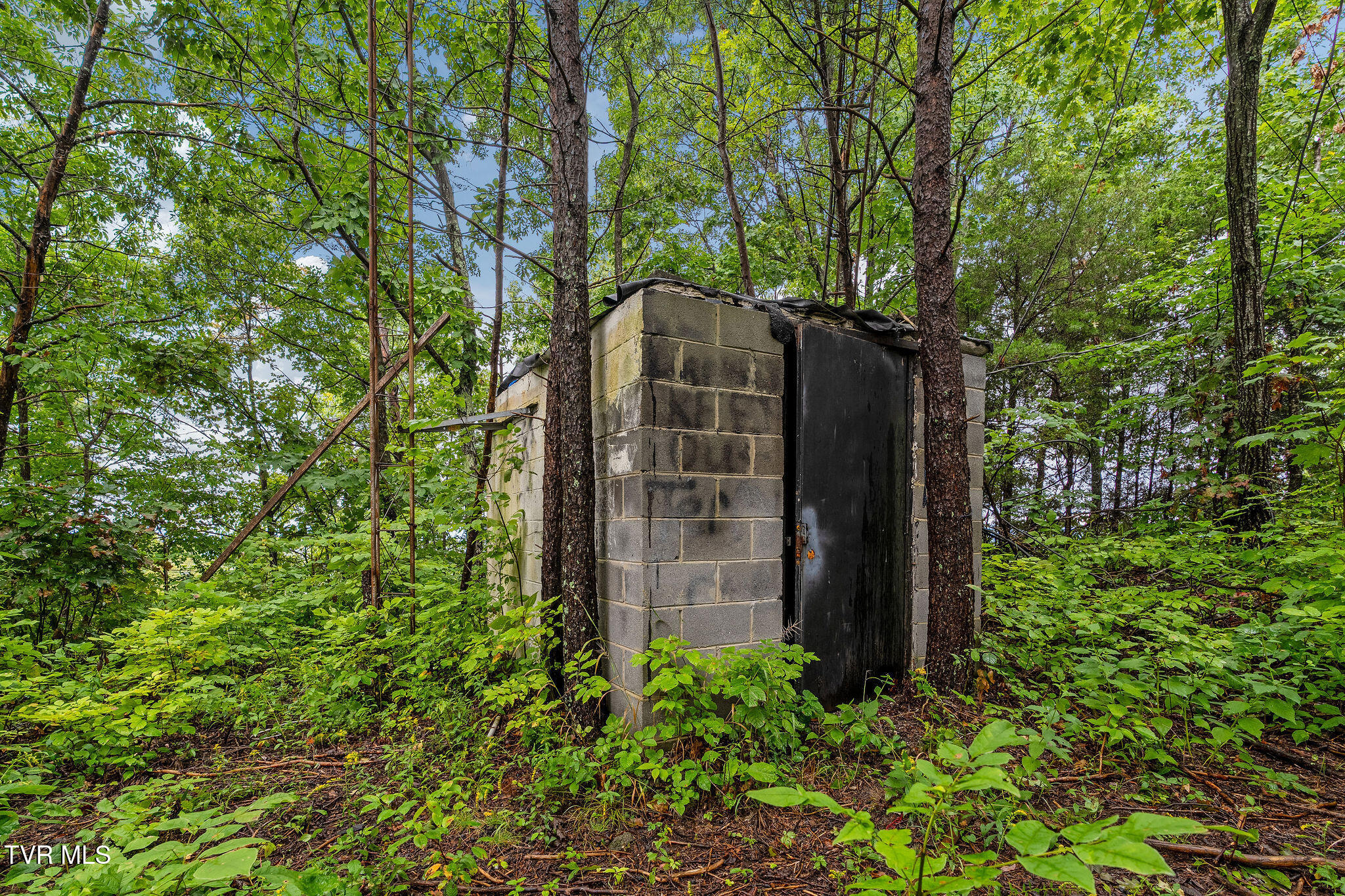 2335 Wattenbarger Gap Road Greeneville, TN 37745 - Photo 81 of 103 DSC08009